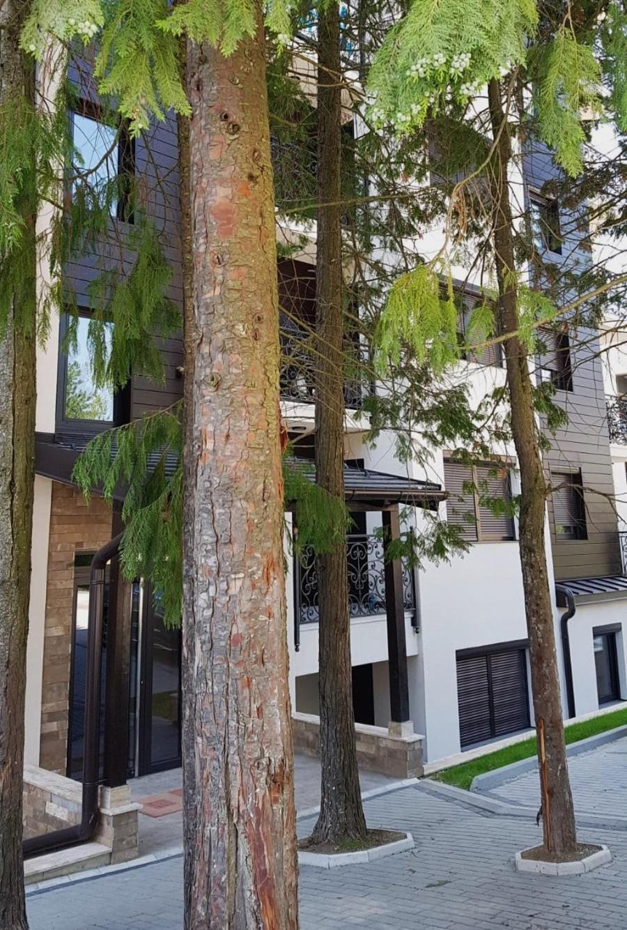 Apartman 11 Breza Zlatibor Exteriör bild